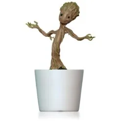2015 Groovin' Groot - Magic Musical