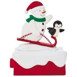 2018 Snow Many Memories: Snow What Fun Sledders - Music & Motion