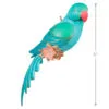 2022 Beauty Of Birds Indian Ring-Necked Parakeet - Club Exclusive