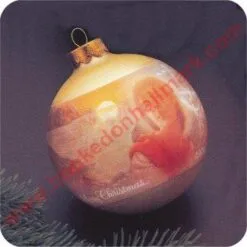 1979 Black Angel - SDB